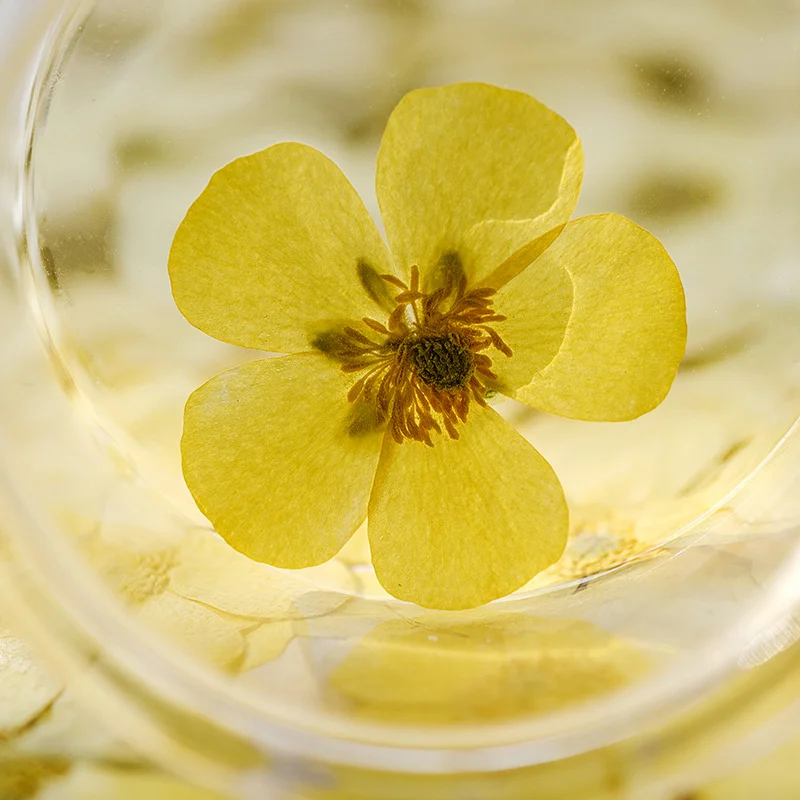 100Pcs Ranunculus Dried Flower - Dried Flower Bookmark review and price
